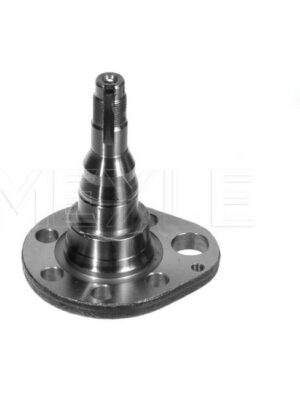 Поворотный кулак VW Golf;Passat;Polo Left +ABS MEYLE 10