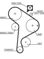 Curea distributie Ремень ГРМ 137x25 VW; Audi 1.9D/TD/TD
