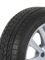 Anvelope Шины 225/50R18 TRAZANO
 Z-507