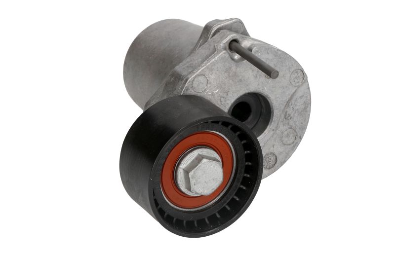 Intinzator curea transmisie BMW 5 7 X3 X5 X6 INA