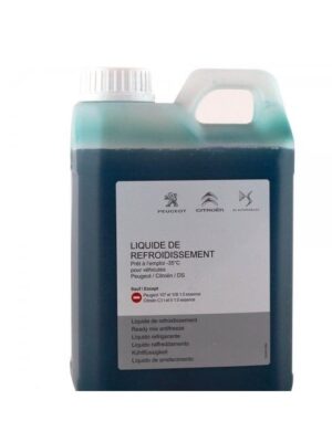 Antigel / Антифриз Peugeot OE 5L Peugeot OE 5L 1637756480 Original